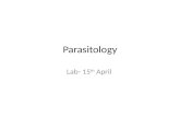 Parasitology lab pics  15th april
