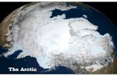 Climate Safety   Arctic