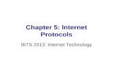 Lecture 5 internet-protocol_assignments