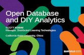 Open Database and DIY Analytics