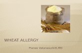 Wheat allergy