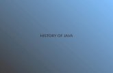 History of java'