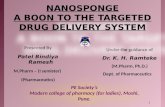 Nanosponge: Versatile Drug Delivery System