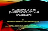 Gas Chromatography-Mass Spectroscopy