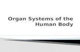 Unit b  - section 3.1 - 3.5 organ systems of the human body
