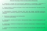 Hematology Notes 1 - PowerPoint Presentation