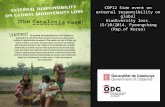 External responsibility on global biodiversity loss: the Catalonia case