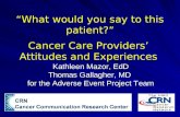 What Would you say to this Patient Cancer Care Providers Attitudes and Experiences GALLAGHER
