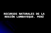 Recursos Naturales De La Region  Lambayeque