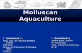 4...molluscan aquaculture