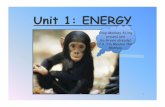 Unit 1: Energy Power Point Science 8