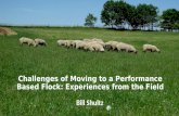 Challenges to moving to a performance-based flock