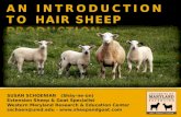 Introduction to Hair Sheep Production