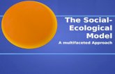 The social ecological model