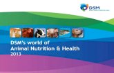 DSM's world of Animal Nutrition & Health