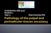 Pathology of the pulpal and periradicular tissues 2012 2013