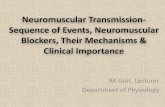 Neuromuscular transmission