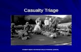 C191 w8tc cmast   casualty triage