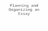 Planning and Organizing Essays
