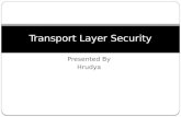 Transport layer security