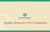 Holiday homes ppt