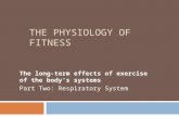 Long term effects of exercise on respiratory system