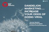 Dandelion Marketing (Tel Aviv Edition)