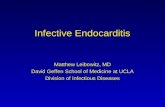Endocarditis 2005 12