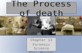Chapter 13 - Process of Death