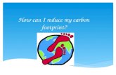 How can i reduce my carbon footprint