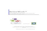 Better World BGI Better Work Concept Paper