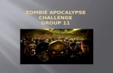 Zombie apocalypse challenge Group11