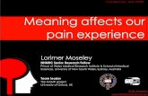 Meaning affects our pain experience