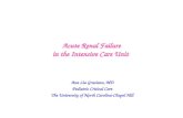 01 Graciano   Acute Renal Failure In The Intensive Care Unit