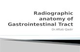 Radiographic anatomy of gastrointestinal tract