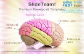 Human brain01 medical power point templates themes and backgrounds ppt slide designs