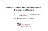 11 spinal reflexes sr2002 2013 al