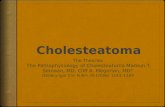 Theories of cholesteatoma