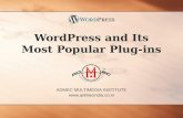 Wordpress | Wordpress(CMS) | best CMS for beginners | popular Wordpress plugins