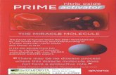 Qivana Prime Nitric Oxide Activator Reviews