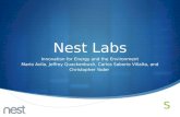 Nest lab presentation_2013_03_06
