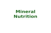 4 mineral nutrition