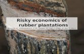 Session 6.2 risky economics of rubber plantations