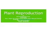 Plant reproduction, sexual and asexual