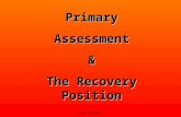 Primary assessment and recovery position