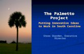 The Palmetto Project: Putting Innovative Ideas to Work in South Carolina-Steve Skardon
