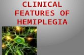 Clinical features of hemiplegia