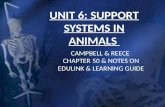 Ls2 afet unit 6 support systems in animals