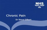 Explaining chronic pain
