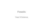 Fossils 090408